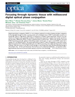 Focusing through dynamic tissue with millisecond digital optical