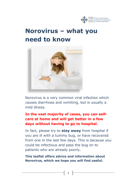 Norovirus &ndash; what you need to know