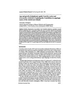 Age and growth of planktonic squids Cranchia