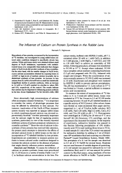 The influence of calcium on protein synthesis in the rabbit lens.