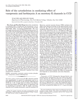 Role of the cytoskeleton in mediating effect of vasopressin and