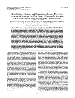 Identification, Cloning, and Sequencing ofpiv, a New Gene