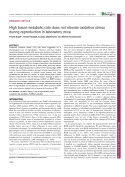 High basal metabolic rate does not elevate - BIOL