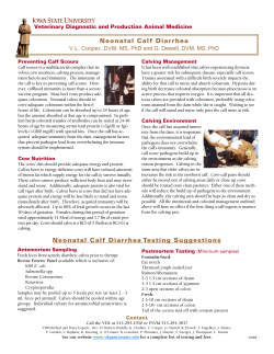 Calf Diarrhea - College of Veterinary Medicine