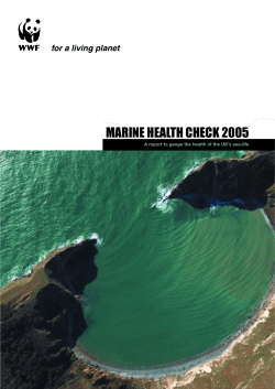 Marine Health Check 2005 - The Marine Life Information Network
