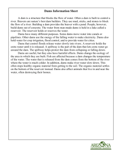 Dams Information Sheet