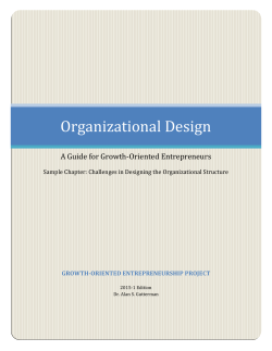 Challenges in Designing the Organizational Structure