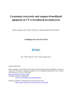 Lysosomal exocytosis and caspase-8