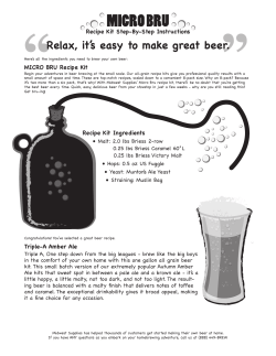 Micro Bru Triple-A Amber Ale Recipe