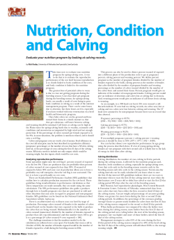 Evaluate your nutrition program by looking at calving records.