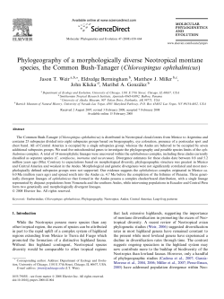 Phylogeography of a morphologically diverse Neotropical