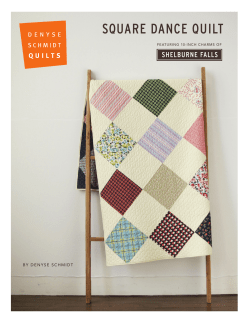 square dance quilt - Denyse Schmidt Quilts