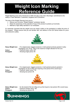 Heavy weight icon program