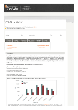 pTK-CLuc Vector | NEB