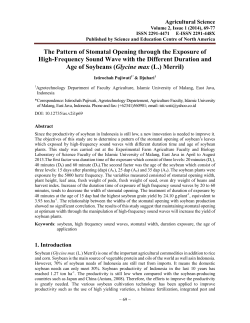 The Pattern of Stomatal Opening through the Exposure of High