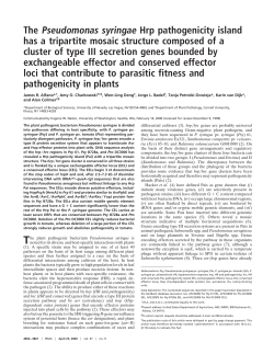 The Pseudomonas syringae Hrp pathogenicity island has a tripartite