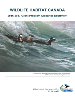 2016-2017 Grant Program Guidance Document