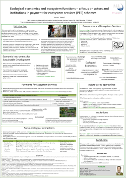 Ecological economics and ecosystem functions &ndash; a focus on actors