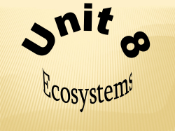 Ecosystem Review Dec 7th Student Notes