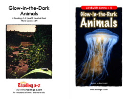 Glow-in-the-Dark Animals