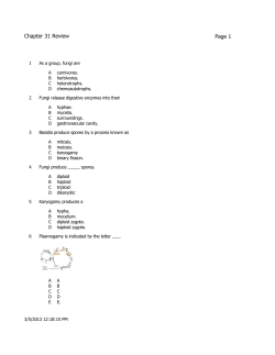 Chapter 31 Review - Blue Valley Schools