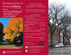 Pruning and Care of Young and Mature Trees