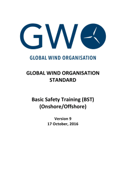 BST - Global Wind Organisation