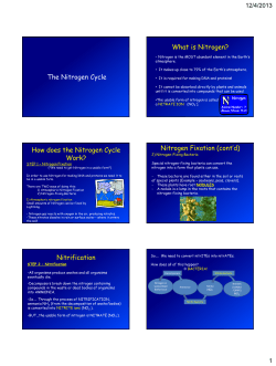 The Nitrogen Cycle What is Nitrogen?