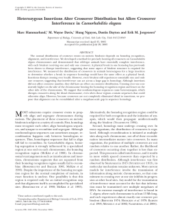 Heterozygous Insertions Alter Crossover Distribution but Allow