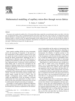 Mathematical modelling of capillary micro-flow through