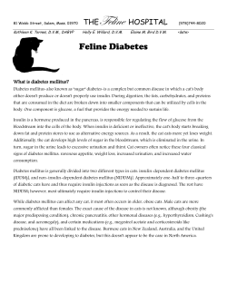 Diabetic Handout - The Feline Hospital