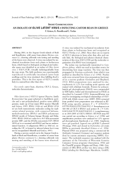 an isolate of olive latent virus 2 infecting castor bean in greece