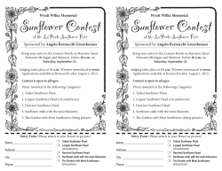 Sunflower Contest Sunflower Contest