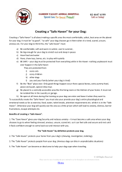 Creating a &ldquo;Safe Haven&rdquo; for your Dog