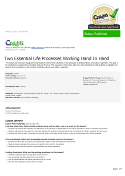Two Essential Life Processes Working Hand In Hand