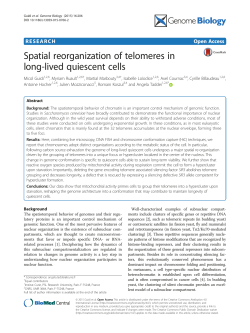 Spatial reorganization of telomeres in long