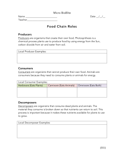 Food Chain Roles