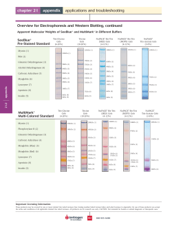 Apparent Molecular Weights of SeeBlue&reg; and MultiMark&reg; in