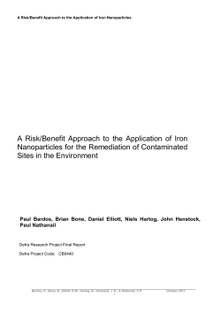 A Risk/Benefit Approach to the Application of Iron