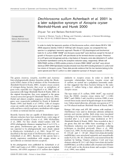 Dechlorosoma suillum Achenbach et al. 2001 is a later subjective