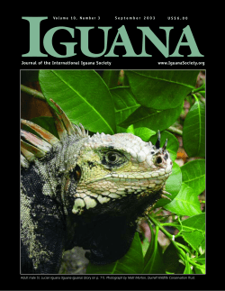 Iguana 10.3 color covers (Page C1)