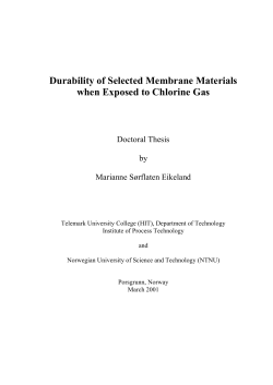 thesis - bibsys brage