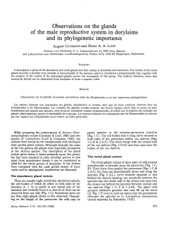 Observations on the glands of the male reproductive system in