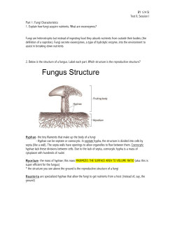 BY 124 SI Test II, Session I Part 1: Fungi Characteristics 1. Explain