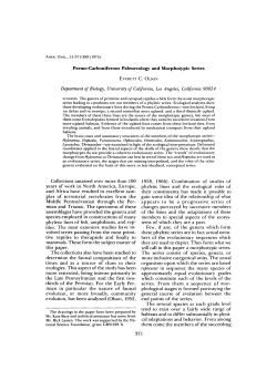 Permo-Carboniferous Paleoecology and Morphotypic Series