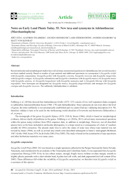 Notes on Early Land Plants Today. 55. New taxa and synonyms in