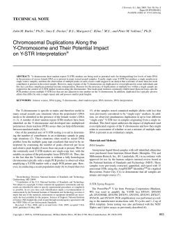 Chromosomal Duplications Along the Y