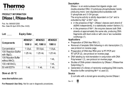 DNase I, RNase-free - Thermo Fisher Scientific