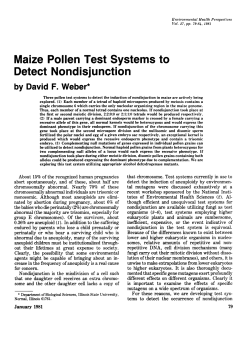 Maize Pollen Test Systems to Detect Nondisjunction