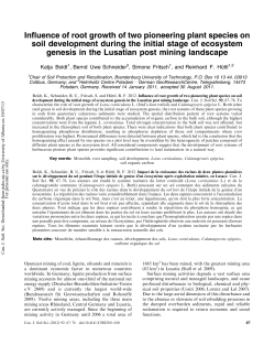 Influence of root growth of two pioneering plant species on soil